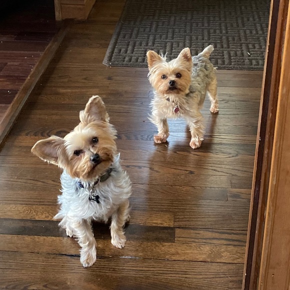 Meet your Posher, Chris - Picture 1 of 1